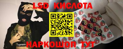 эйфоретик Будённовск