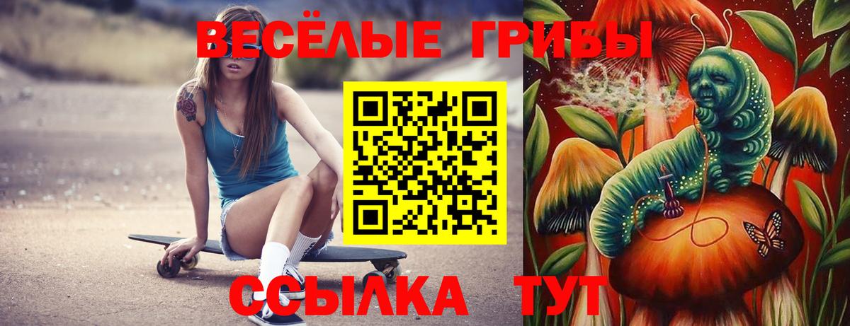 Псилоцибиновые грибы ЛСД  Вход с VPN  Чапаевск 